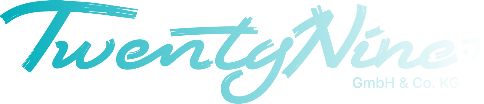 Logo_TwentyNine-GmbH-Grafing